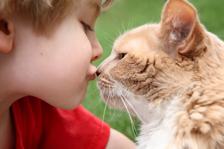 Каждый ребенок может заразиться глистами при контакте с животными. 